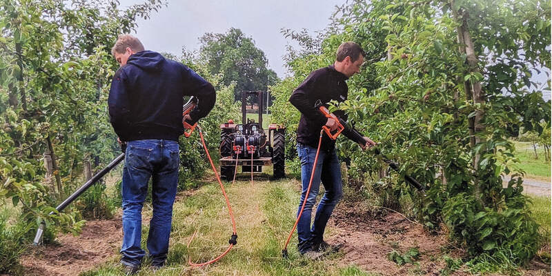 Weed control in orchards and vineyards - Cover Image