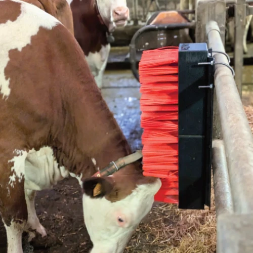 AniZen double brush - wall mounted