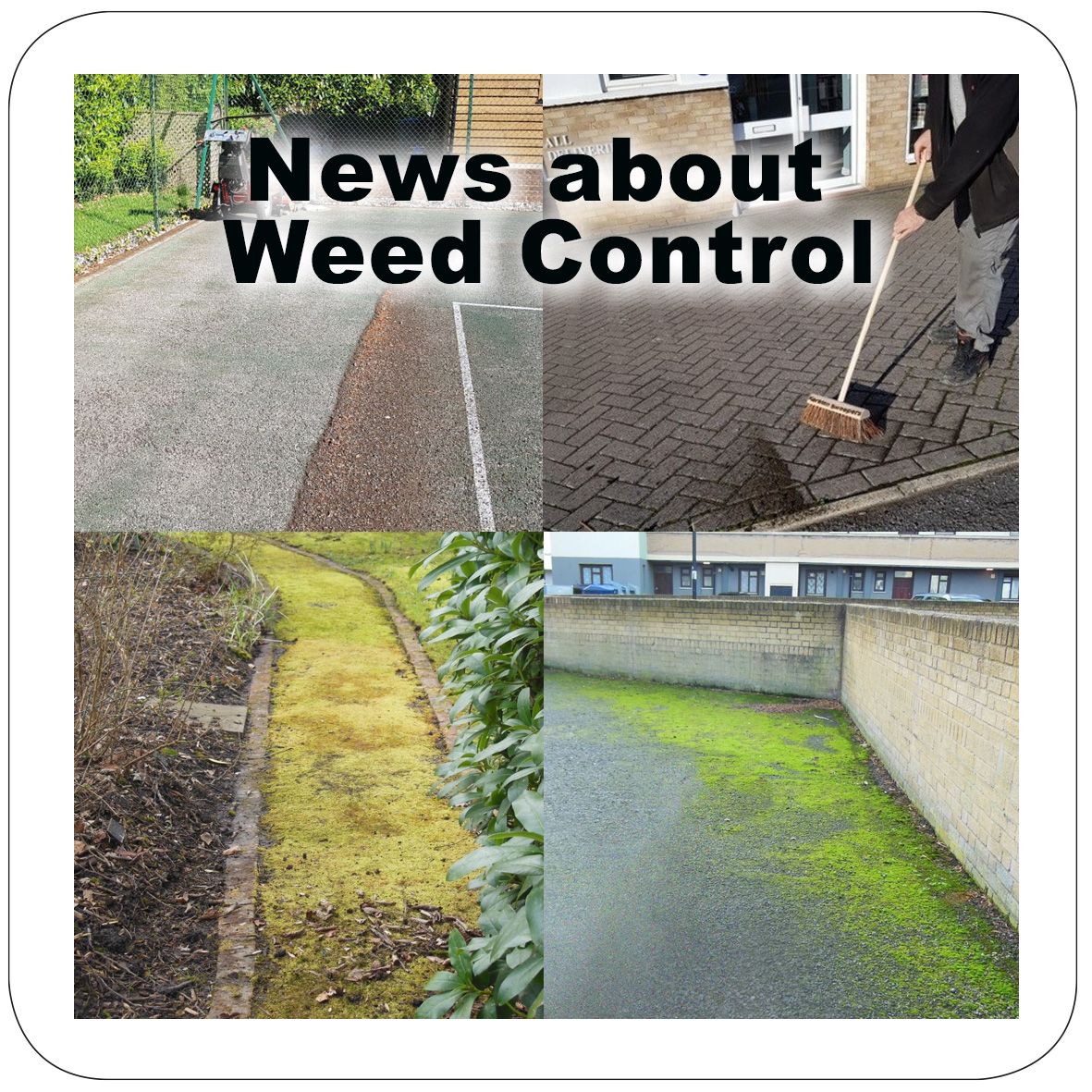 News about Weed Control