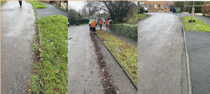 Cambridge’s herbicide-reduction plan