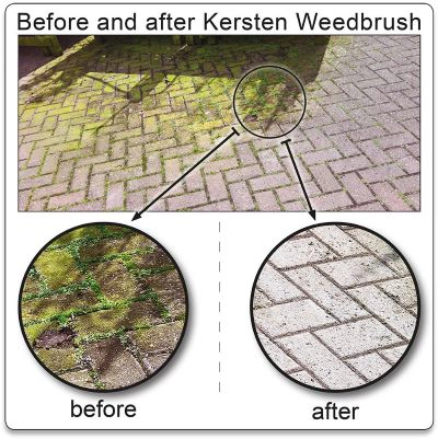 Moss Brushes, Weed Brushes & Weed Rippers - What's the  difference? - Cover Image